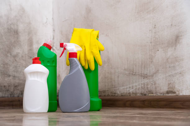 Why You Should Choose Our Mold Remediation Services in La Junta, CO